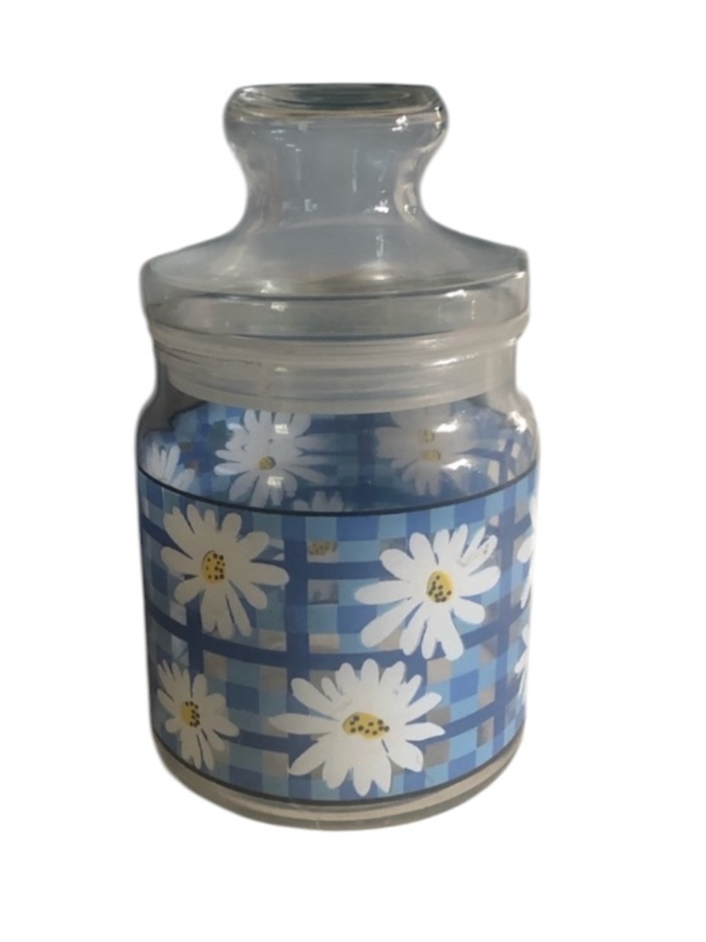 Vintage Blue Lattice White Daisy Glass Canister